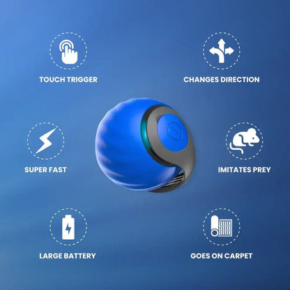 Speedy Tail 2.0 - Pure Path™ Toys