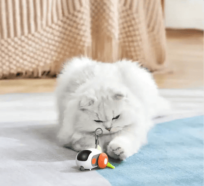 Turbo Tail 2.0 - Pure Path™ Toys