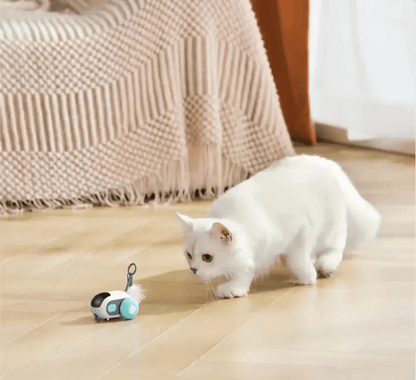 Turbo Tail 2.0 - Pure Path™ Toys
