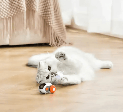 Turbo Tail 2.0 - Pure Path™ Toys